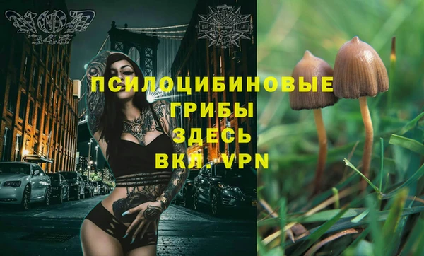 бошки Абинск