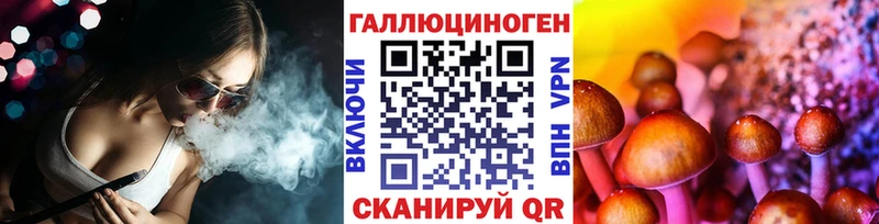 Галлюциногенные грибы Psilocybe  закладки  Челябинск 
